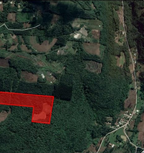 B-569 Área De Terras em Santa Maria Do Herval Próximo Ao Centro Da Cidade (7,8 Ha)