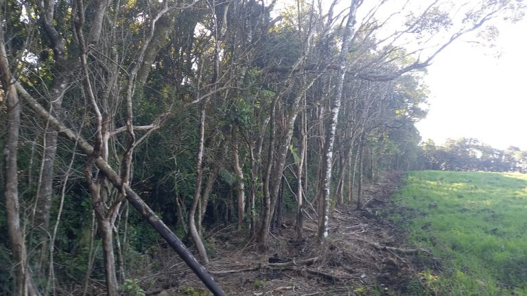B-572 ÁREA DE TERRAS EM MORRO REUTER COM FANTÁSTICA VISTA PANORÂMICA