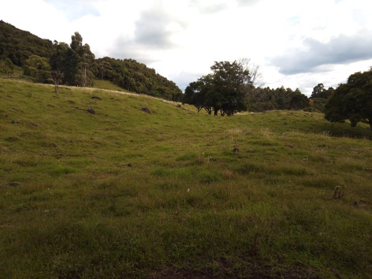 B-466 LINDO SÍTIO EM SÃO FRANCISCO DE PAULA COM 8 HECTARES