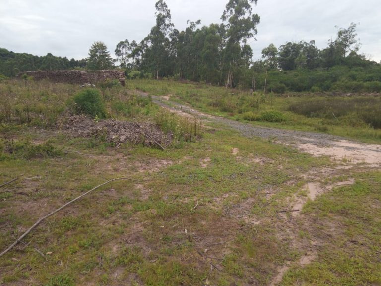 B-574  Área De Terras De 10 Hectares em Capela De Santana.