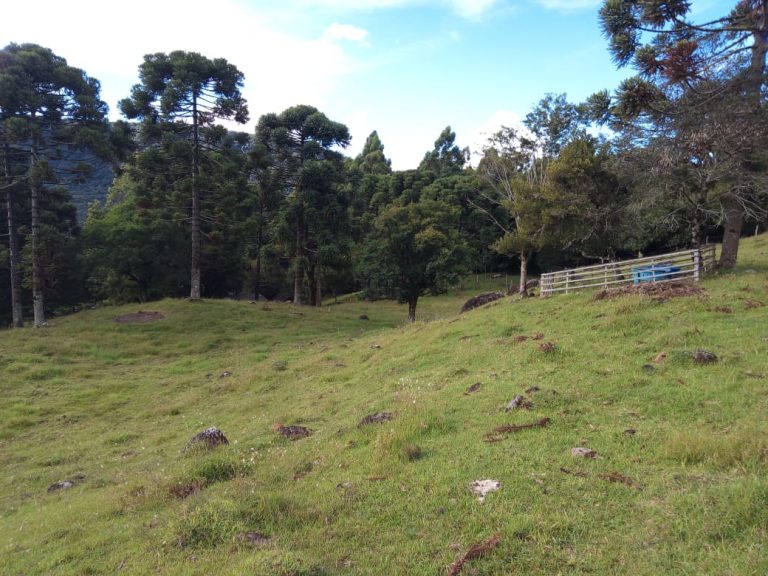 B-466 LINDO SÍTIO EM SÃO FRANCISCO DE PAULA COM 8 HECTARES