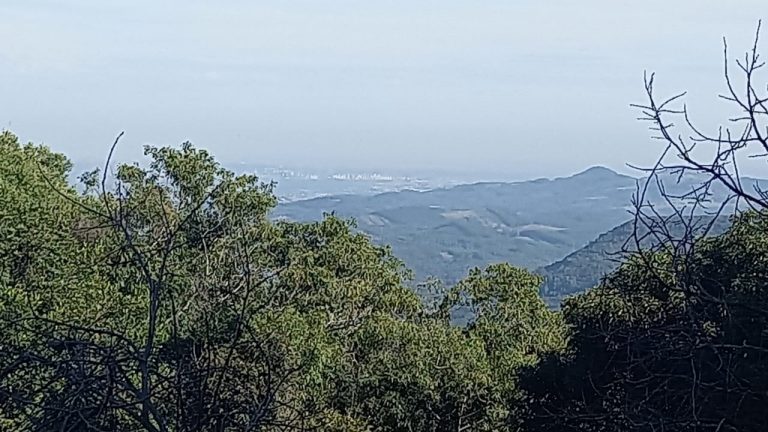 B-572 ÁREA DE TERRAS EM MORRO REUTER COM FANTÁSTICA VISTA PANORÂMICA