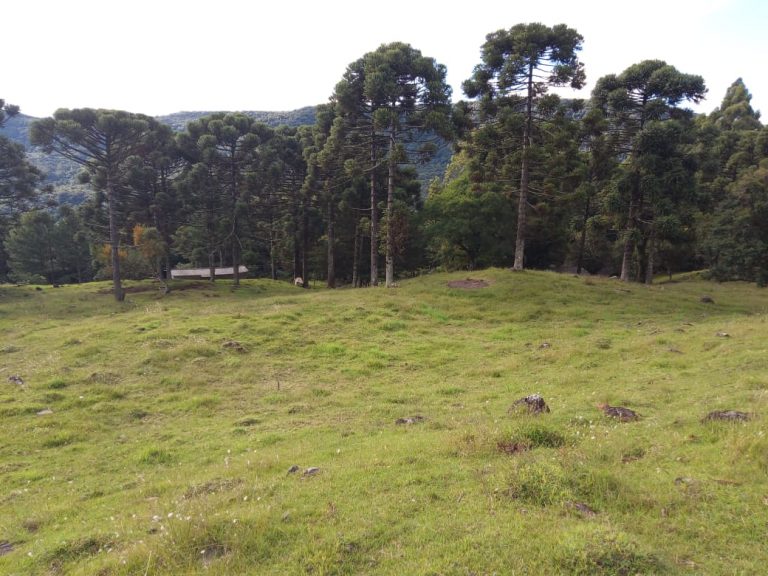 B-466 LINDO SÍTIO EM SÃO FRANCISCO DE PAULA COM 8 HECTARES