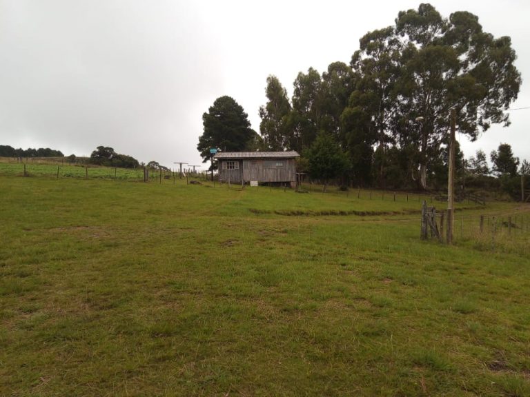 B-476 Lindo Sítio em Cambará Do Sul – Serra Gaúcha