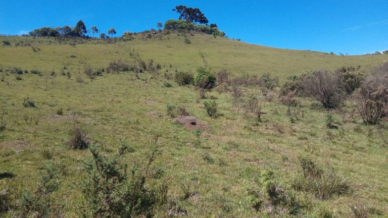 B-469 FAZENDA EM SÃO FRANCISCO DE PAULA COM 164 HECTARES NA LOCALIDADE DE JUÁ