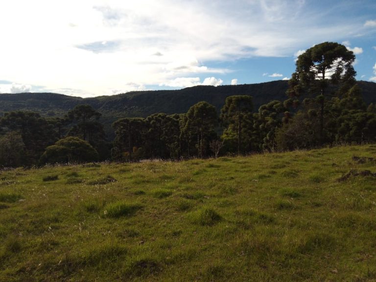B-466 LINDO SÍTIO EM SÃO FRANCISCO DE PAULA COM 8 HECTARES