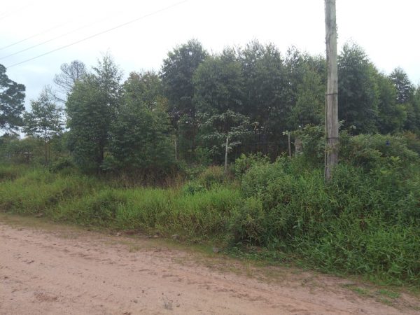 B-574  Área De Terras De 10 Hectares em Capela De Santana.