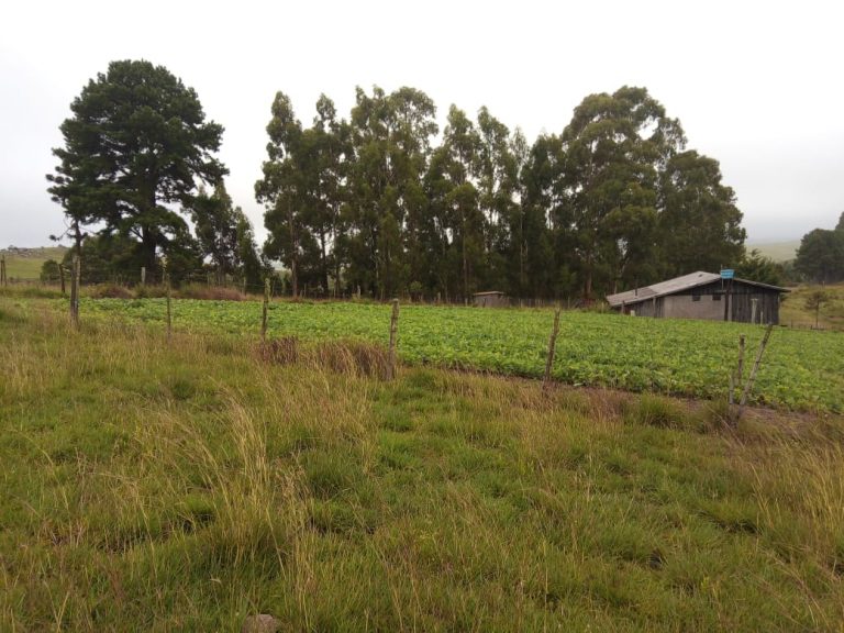 B-476 Lindo Sítio em Cambará Do Sul – Serra Gaúcha