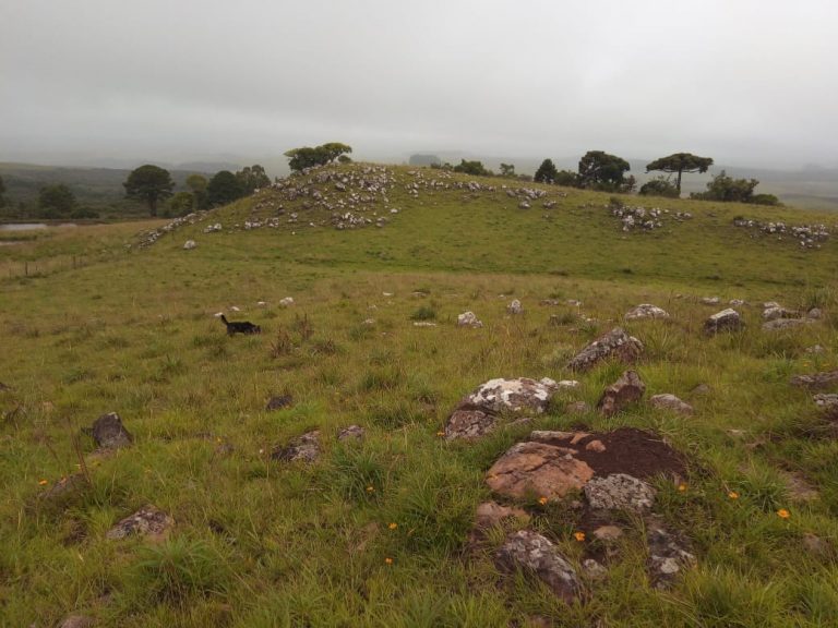 B-476 Lindo Sítio em Cambará Do Sul – Serra Gaúcha