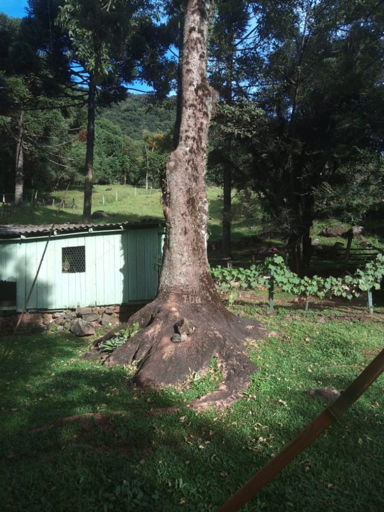 B-466 LINDO SÍTIO EM SÃO FRANCISCO DE PAULA COM 8 HECTARES