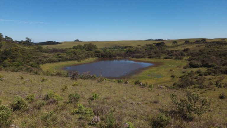 B-469 FAZENDA EM SÃO FRANCISCO DE PAULA COM 164 HECTARES NA LOCALIDADE DE JUÁ