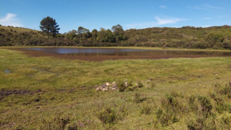 B-469 FAZENDA EM SÃO FRANCISCO DE PAULA COM 164 HECTARES NA LOCALIDADE DE JUÁ