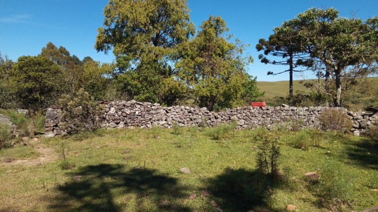 B-469 FAZENDA EM SÃO FRANCISCO DE PAULA COM 164 HECTARES NA LOCALIDADE DE JUÁ