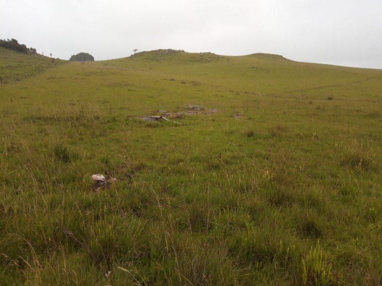 B-476 Lindo Sítio em Cambará Do Sul – Serra Gaúcha