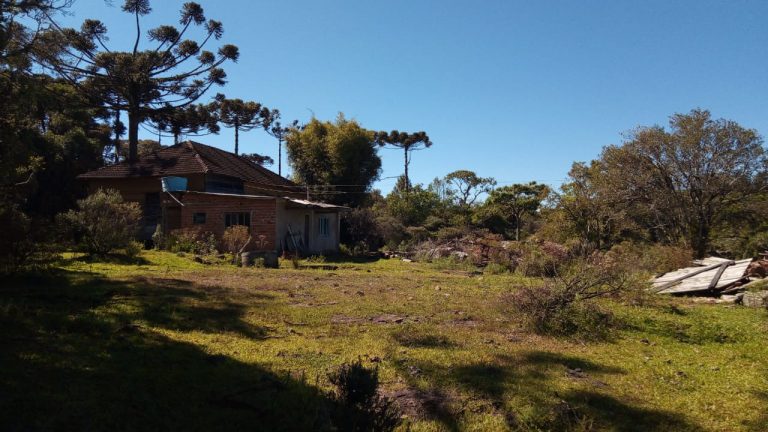 B-469 FAZENDA EM SÃO FRANCISCO DE PAULA COM 164 HECTARES NA LOCALIDADE DE JUÁ
