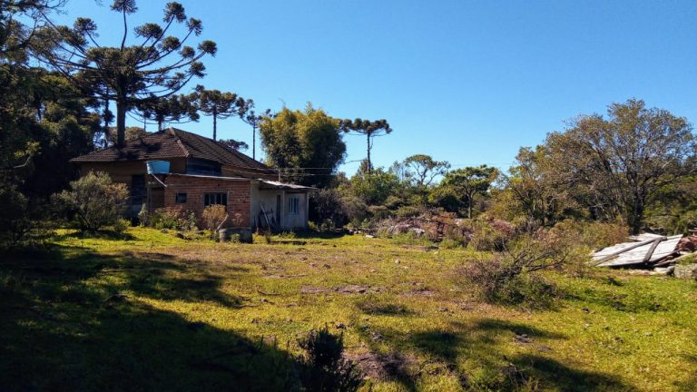 B-469 FAZENDA EM SÃO FRANCISCO DE PAULA COM 164 HECTARES NA LOCALIDADE DE JUÁ