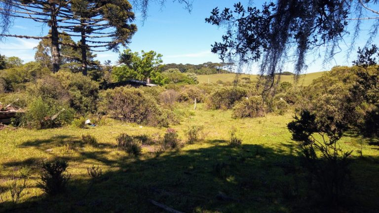 B-469 FAZENDA EM SÃO FRANCISCO DE PAULA COM 164 HECTARES NA LOCALIDADE DE JUÁ