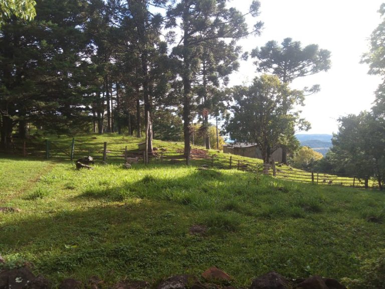 B-466 LINDO SÍTIO EM SÃO FRANCISCO DE PAULA COM 8 HECTARES