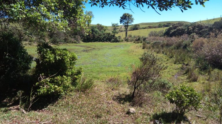 B-469 FAZENDA EM SÃO FRANCISCO DE PAULA COM 164 HECTARES NA LOCALIDADE DE JUÁ