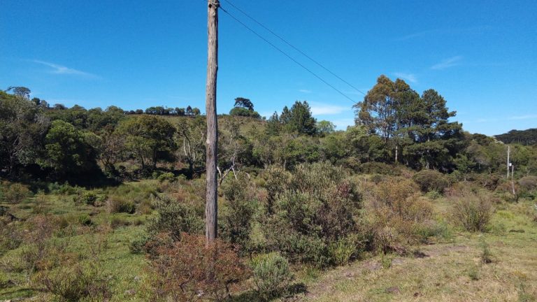 B-469 FAZENDA EM SÃO FRANCISCO DE PAULA COM 164 HECTARES NA LOCALIDADE DE JUÁ