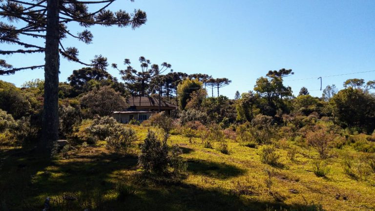 B-469 FAZENDA EM SÃO FRANCISCO DE PAULA COM 164 HECTARES NA LOCALIDADE DE JUÁ