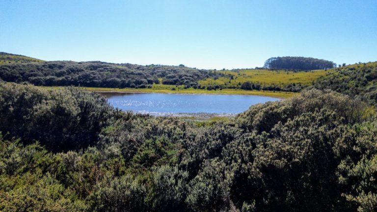 B-469 FAZENDA EM SÃO FRANCISCO DE PAULA COM 164 HECTARES NA LOCALIDADE DE JUÁ