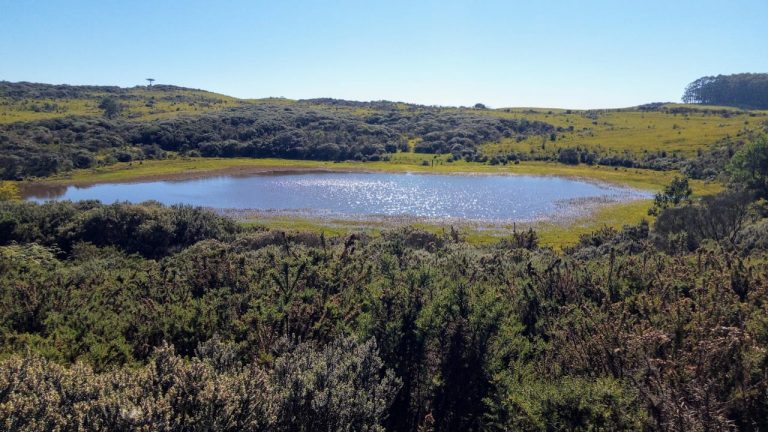 B-469 FAZENDA EM SÃO FRANCISCO DE PAULA COM 164 HECTARES NA LOCALIDADE DE JUÁ