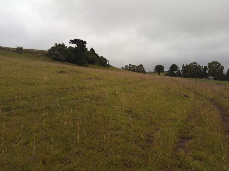 B-476 Lindo Sítio em Cambará Do Sul – Serra Gaúcha