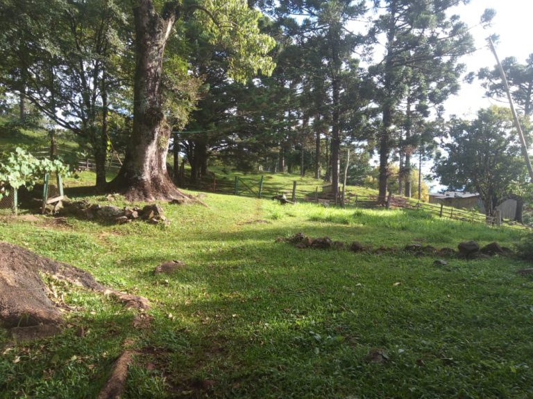 B-466 LINDO SÍTIO EM SÃO FRANCISCO DE PAULA COM 8 HECTARES
