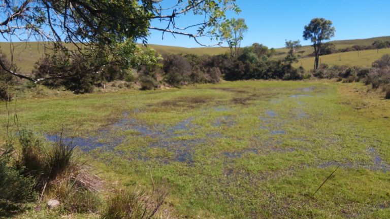 B-469 FAZENDA EM SÃO FRANCISCO DE PAULA COM 164 HECTARES NA LOCALIDADE DE JUÁ