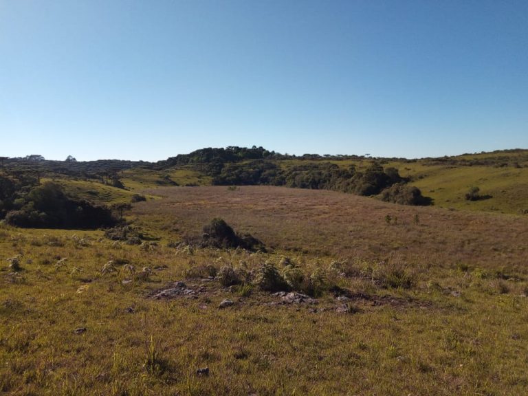 B-469 FAZENDA EM SÃO FRANCISCO DE PAULA COM 164 HECTARES NA LOCALIDADE DE JUÁ