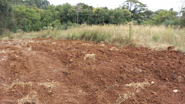 B-569 Área De Terras em Santa Maria Do Herval Próximo Ao Centro Da Cidade (7,8 Ha)