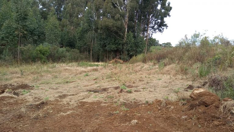 B-569 Área De Terras em Santa Maria Do Herval Próximo Ao Centro Da Cidade (7,8 Ha)