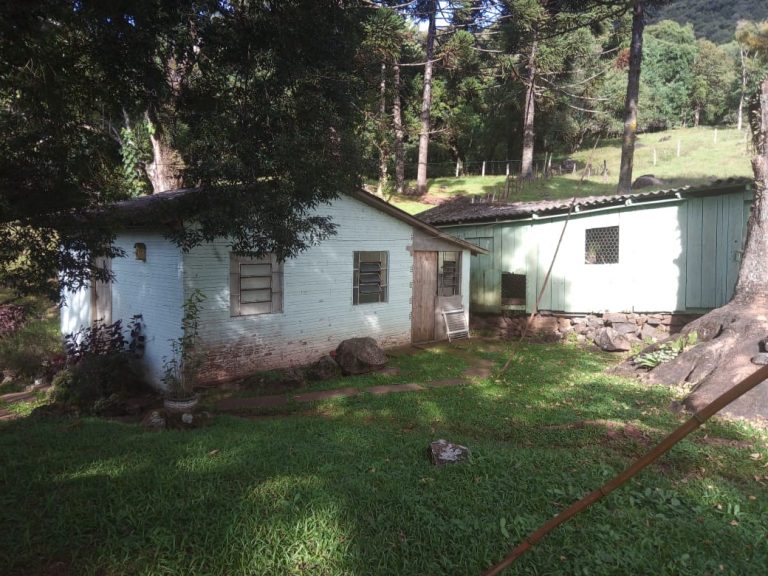 B-466 LINDO SÍTIO EM SÃO FRANCISCO DE PAULA COM 8 HECTARES