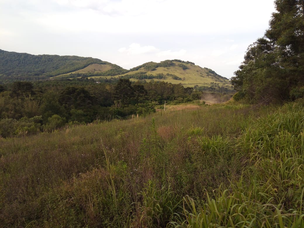 B-573 ÁREA DE TERRAS EM SÃO FRANCISCO DE PAULA COM 15 HECTARES