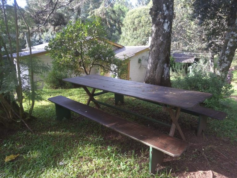 B-466 LINDO SÍTIO EM SÃO FRANCISCO DE PAULA COM 8 HECTARES