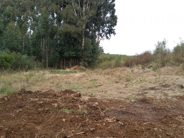 B-569 Área De Terras em Santa Maria Do Herval Próximo Ao Centro Da Cidade (7,8 Ha)