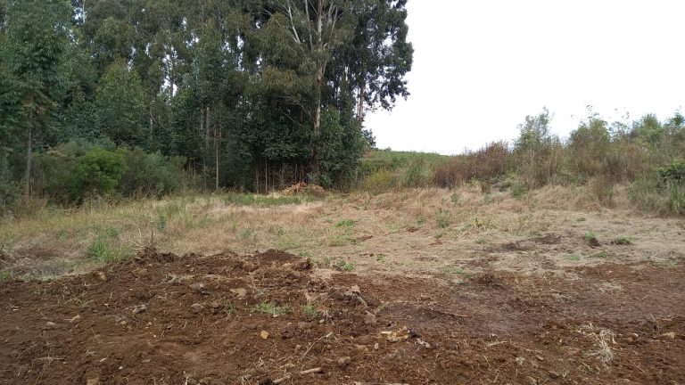 B-569 Área De Terras em Santa Maria Do Herval Próximo Ao Centro Da Cidade (7,8 Ha)