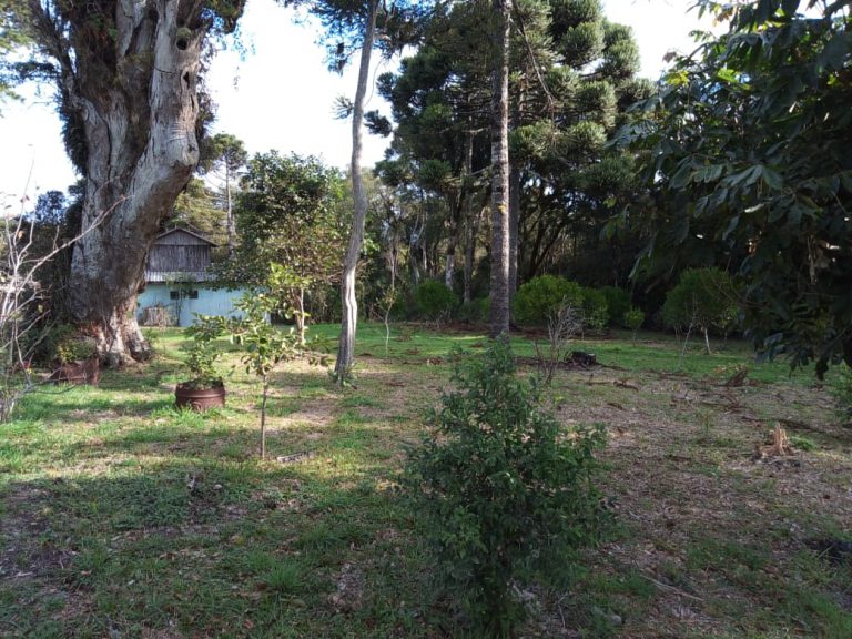 B-470 SÍTIO EM sÃO FRANCISCO DE PAULA COM 8,3 HECTARES