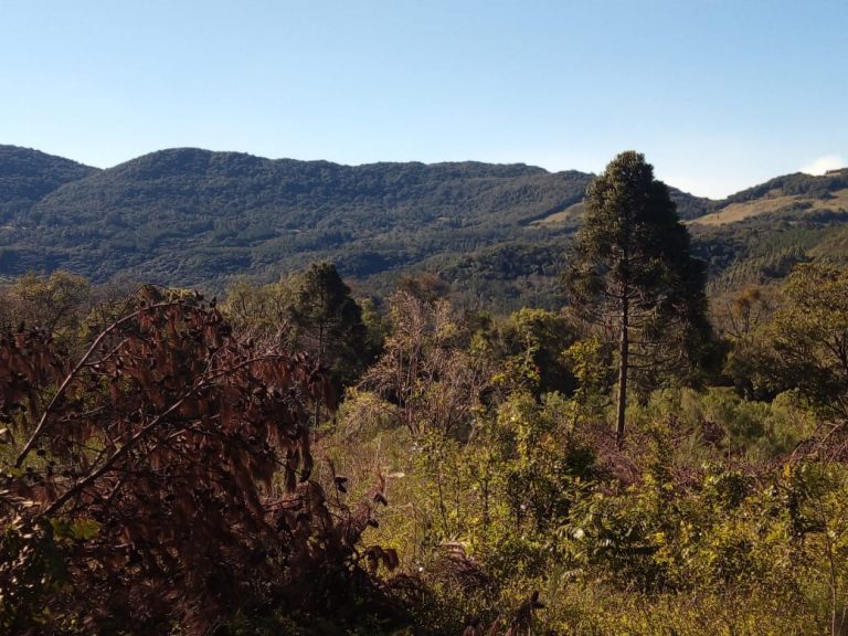 B-468 SITIO EM SÃO FRANCISCO DE PAULA COM 26 HECTARES