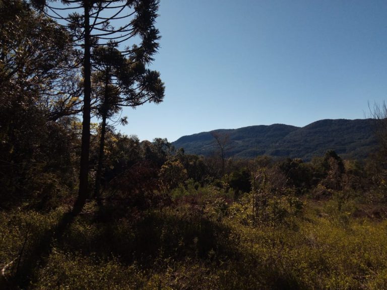 B-468 SITIO EM SÃO FRANCISCO DE PAULA COM 26 HECTARES