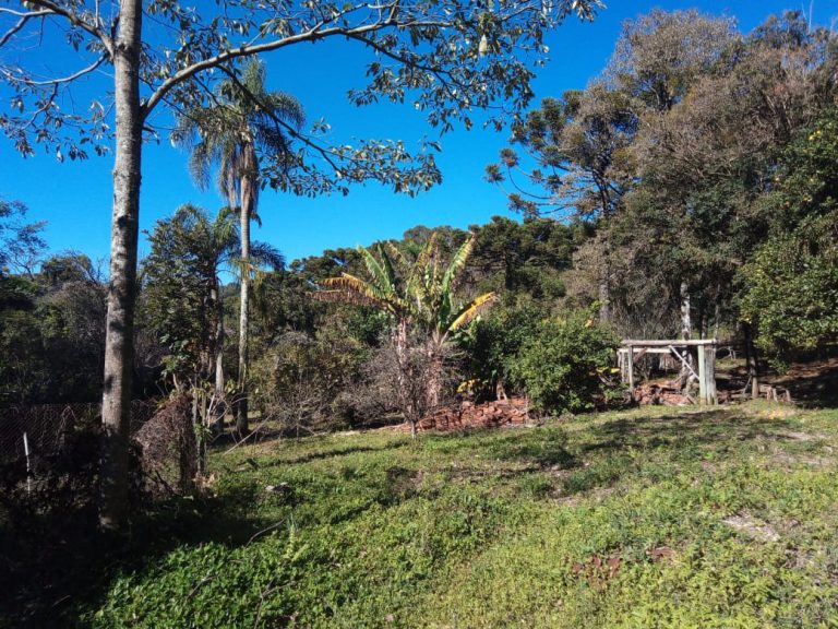 B-468 SITIO EM SÃO FRANCISCO DE PAULA COM 26 HECTARES