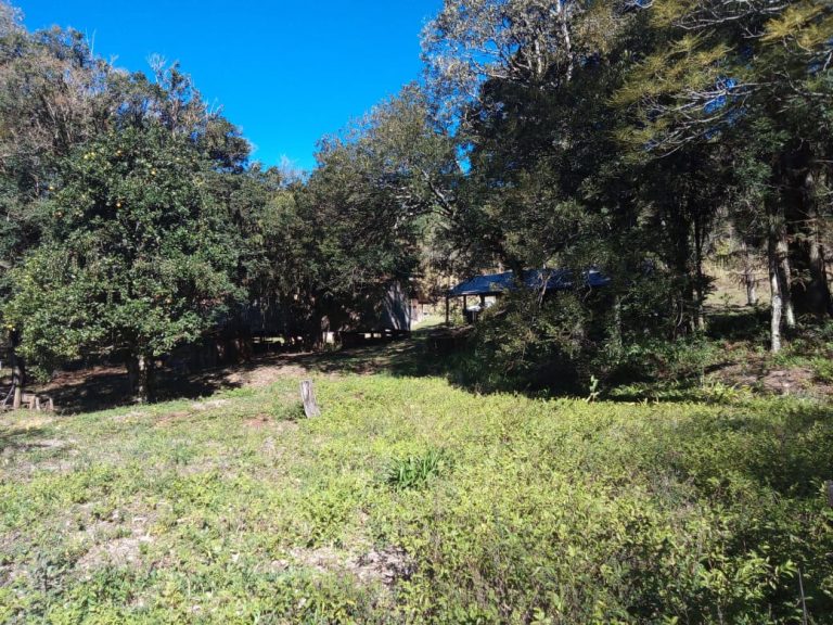 B-468 SITIO EM SÃO FRANCISCO DE PAULA COM 26 HECTARES