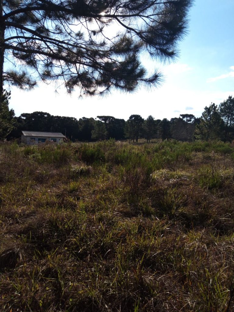 B-470 SÍTIO EM sÃO FRANCISCO DE PAULA COM 8,3 HECTARES