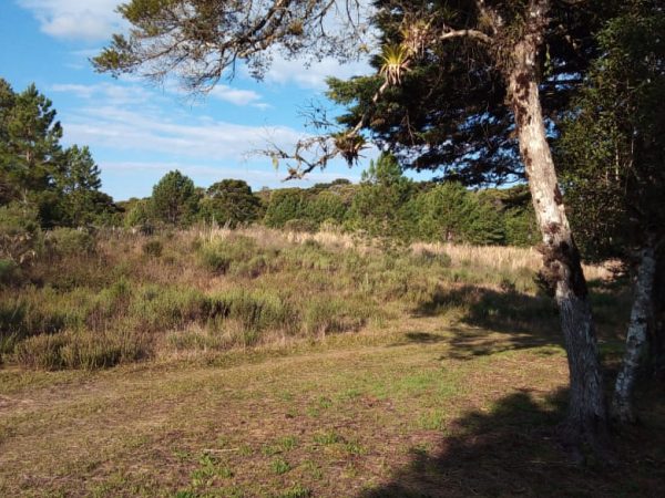 B-470 SÍTIO EM sÃO FRANCISCO DE PAULA COM 8,3 HECTARES