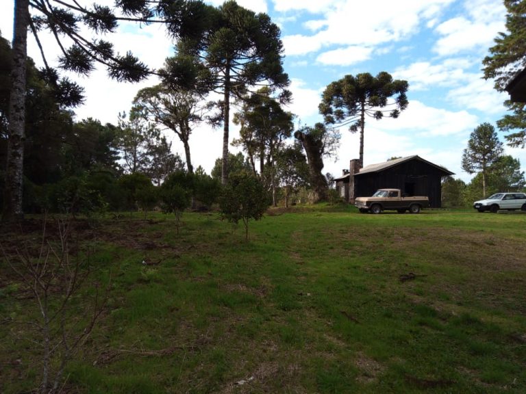 B-470 SÍTIO EM sÃO FRANCISCO DE PAULA COM 8,3 HECTARES