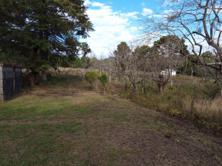 B-470 SÍTIO EM sÃO FRANCISCO DE PAULA COM 8,3 HECTARES