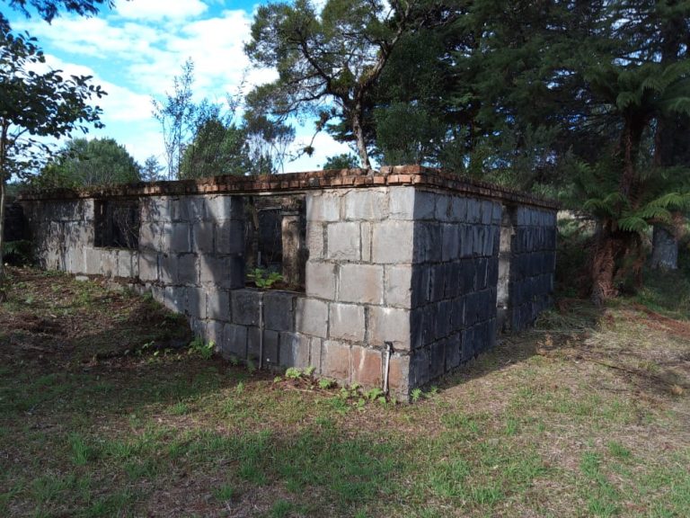 B-470 SÍTIO EM sÃO FRANCISCO DE PAULA COM 8,3 HECTARES