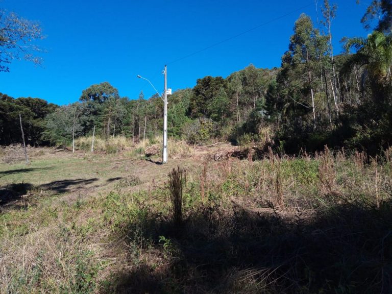 B-468 SITIO EM SÃO FRANCISCO DE PAULA COM 26 HECTARES