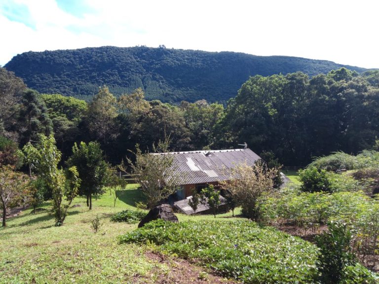 B-479     LINDO SÍTIO EM SÃO FRANCISCO DE PAULA – SERRA GAÚCHA